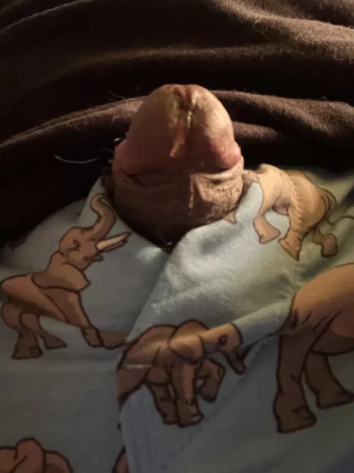 If you remember my last pick in these boxers this is the precum that dripped after