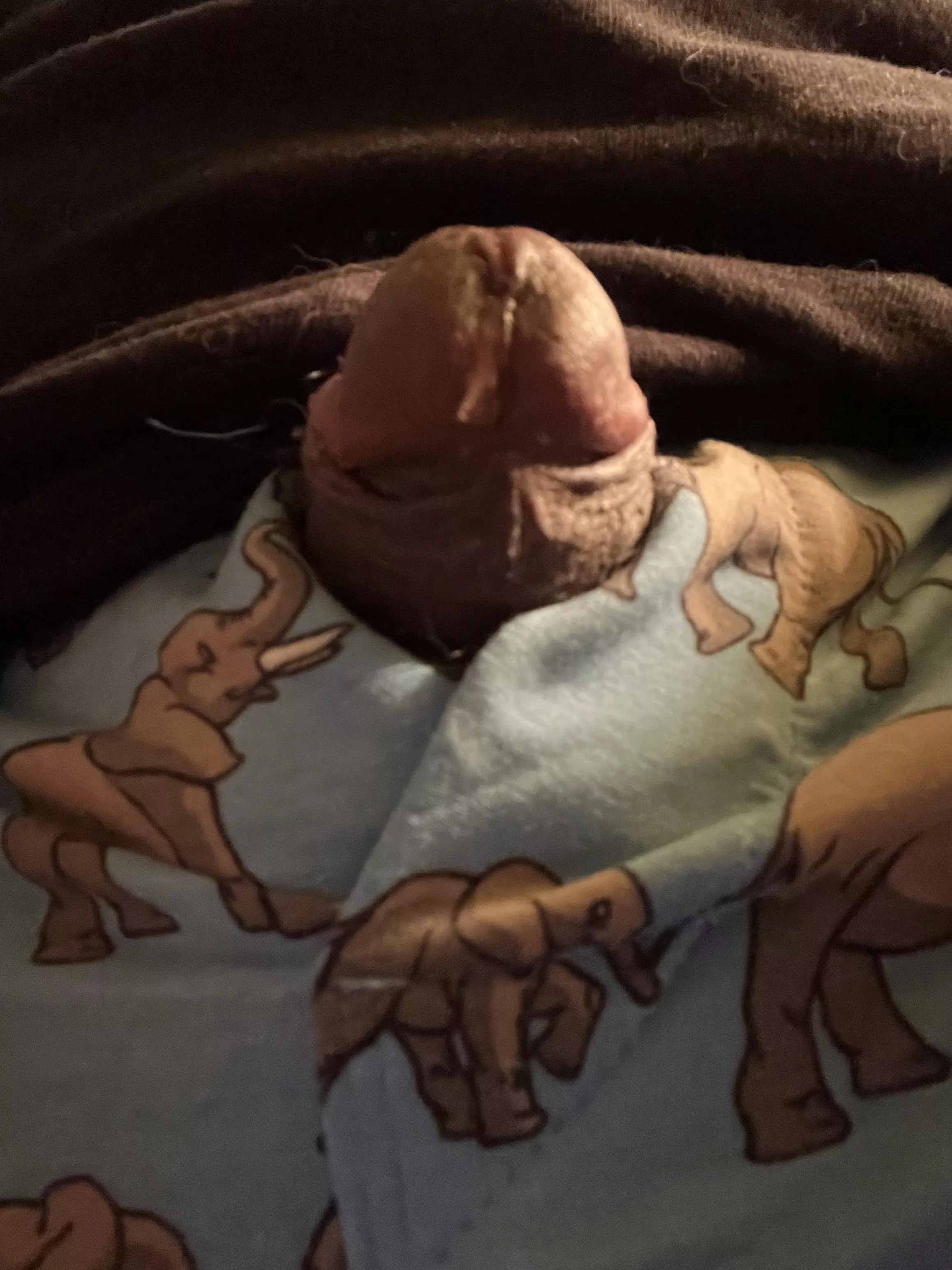 If you remember my last pick in these boxers this is the precum that dripped after