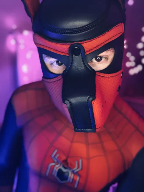 It’s chilly outside, come keep this pup warm