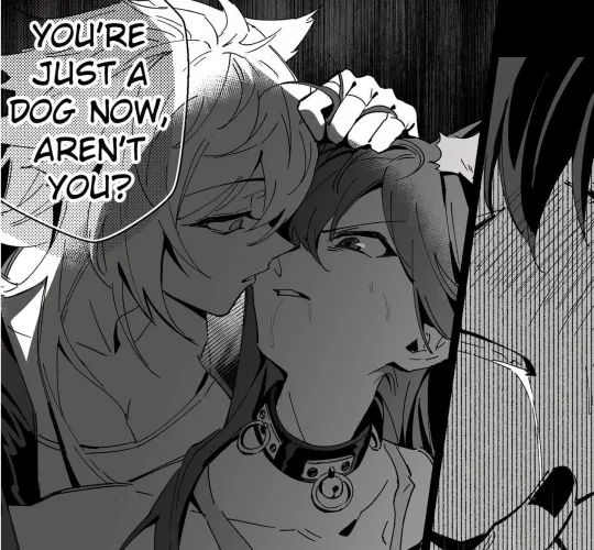 LF Mono Source, 2girls, collar, 