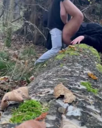 Love the colors of the forest this time of the year ❤️ What do you think? 😉 [OC]