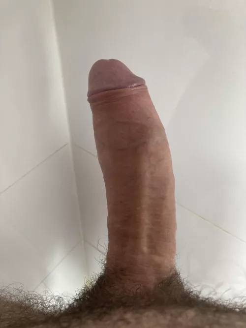 My gf let me post it. She doesn’t believe that anybody will like my cock. I’d she right?