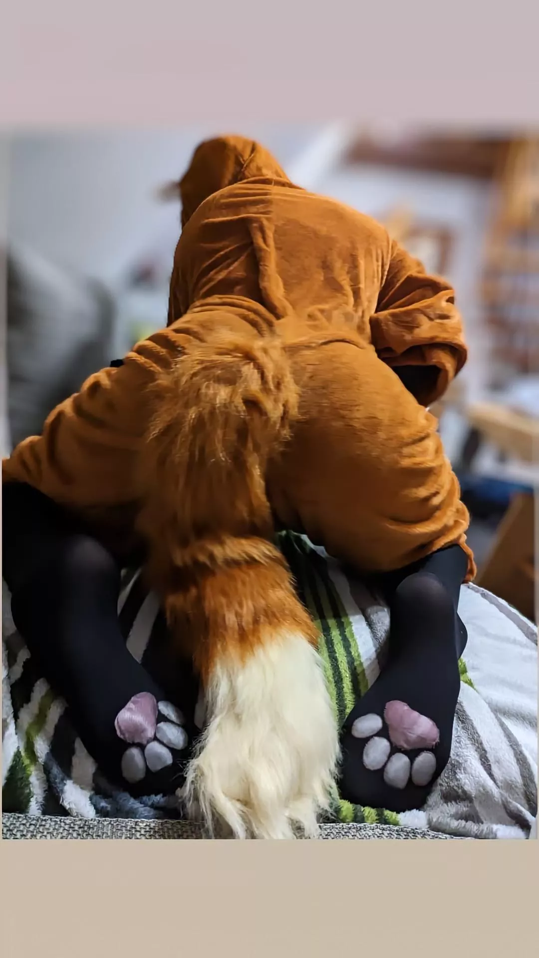 My little fox (self-made paws)