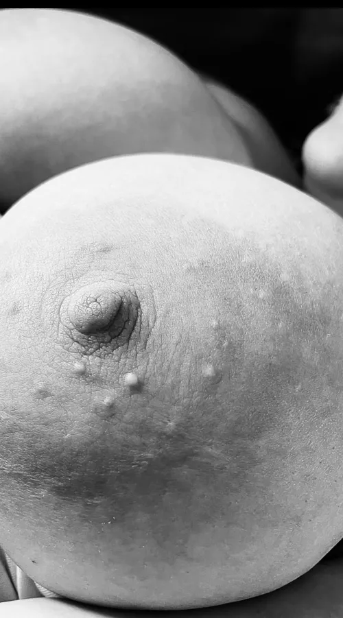 [OC] Suck them, fuck them, spray them.