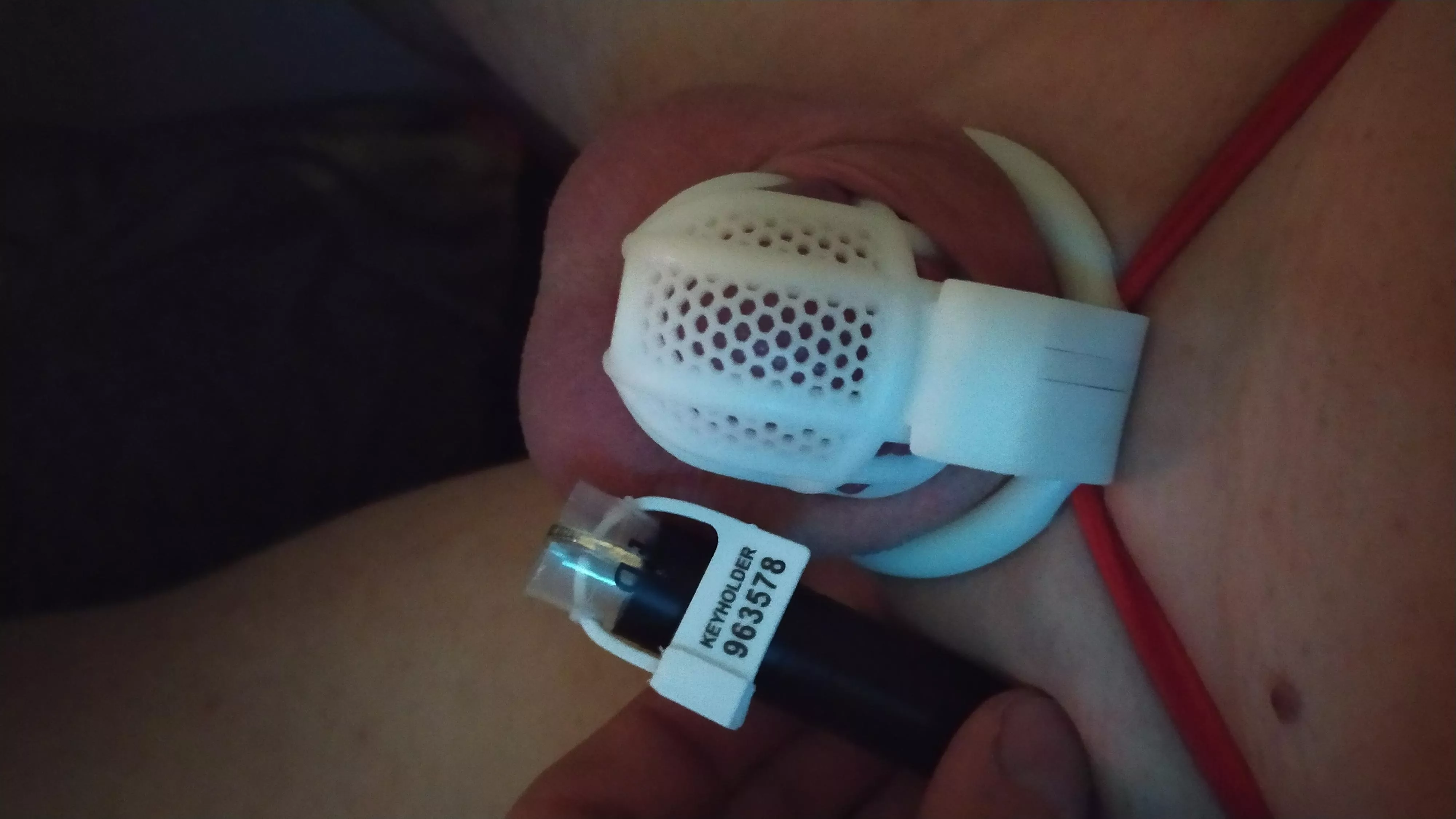 Please vote for my lock https://chaster.app/sessions/kEAf3mN2mDiVWs9A