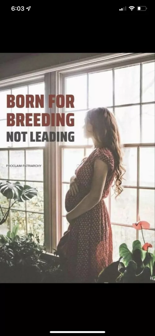 Saw this in another group YIKES