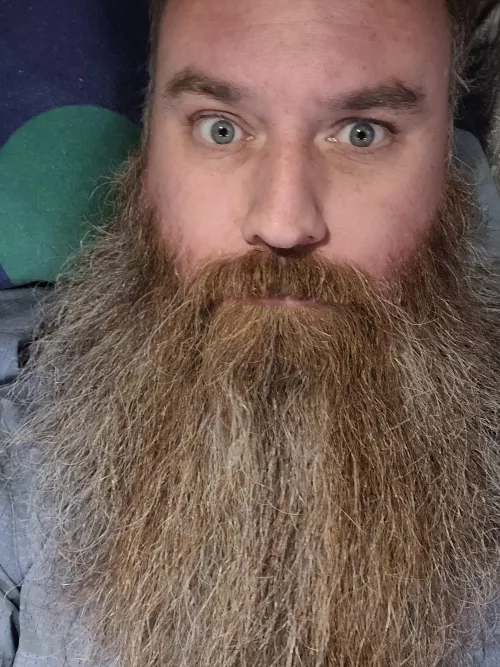 should I post more of me in this sub? I'm 6'6 and 340lbs.