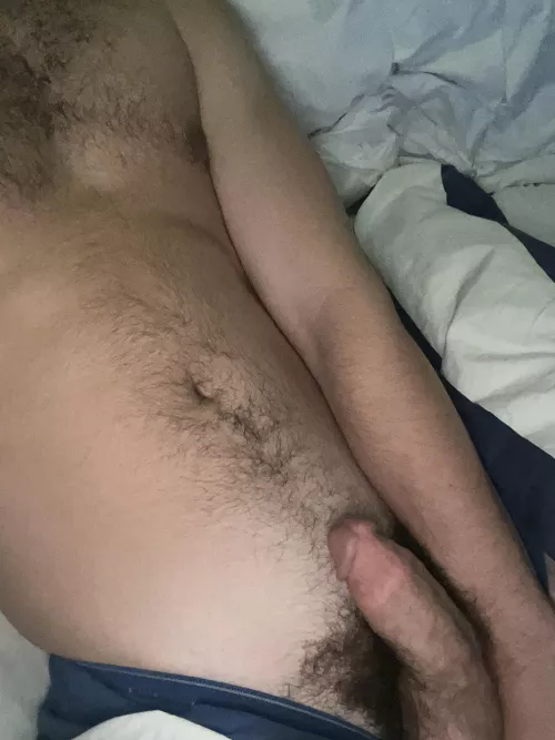Suck my Hairy college cock