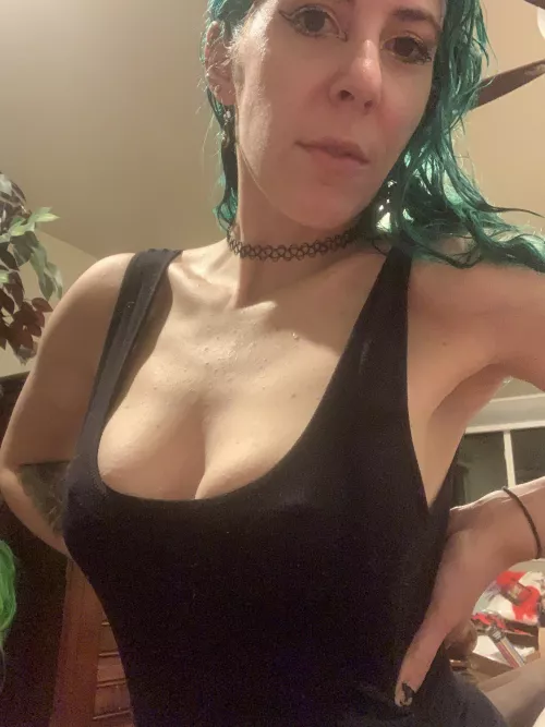 Tribute the pokies in the comments