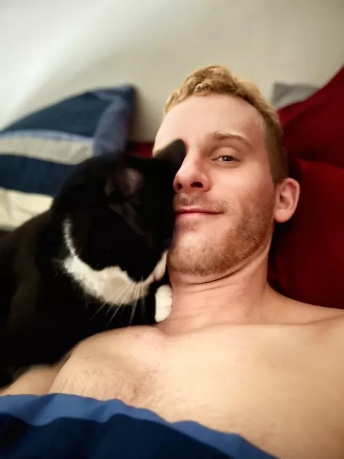 Waking up to kitty hugs ❤️