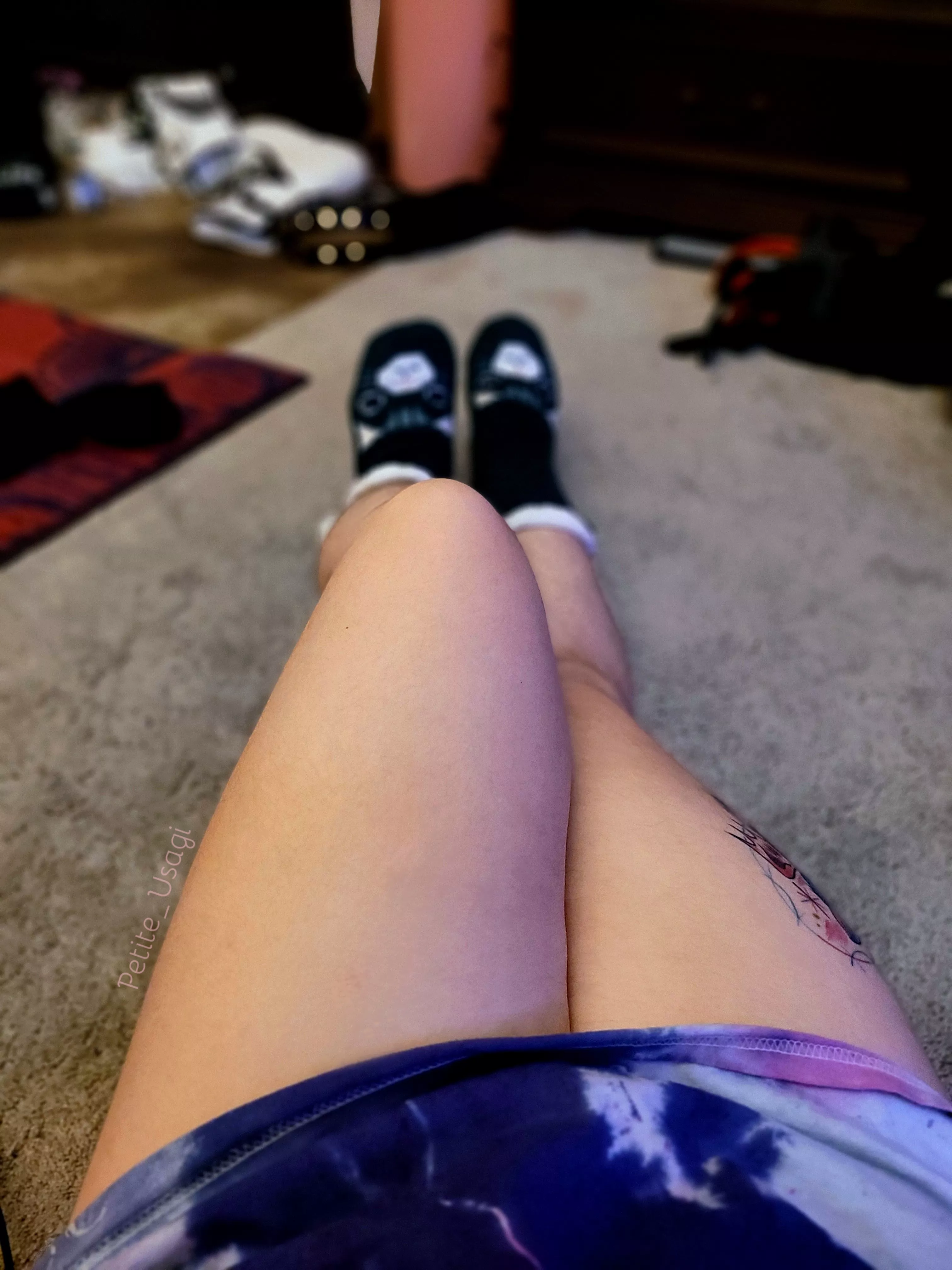 What Do You Think Of My Cat Socks? 🐈