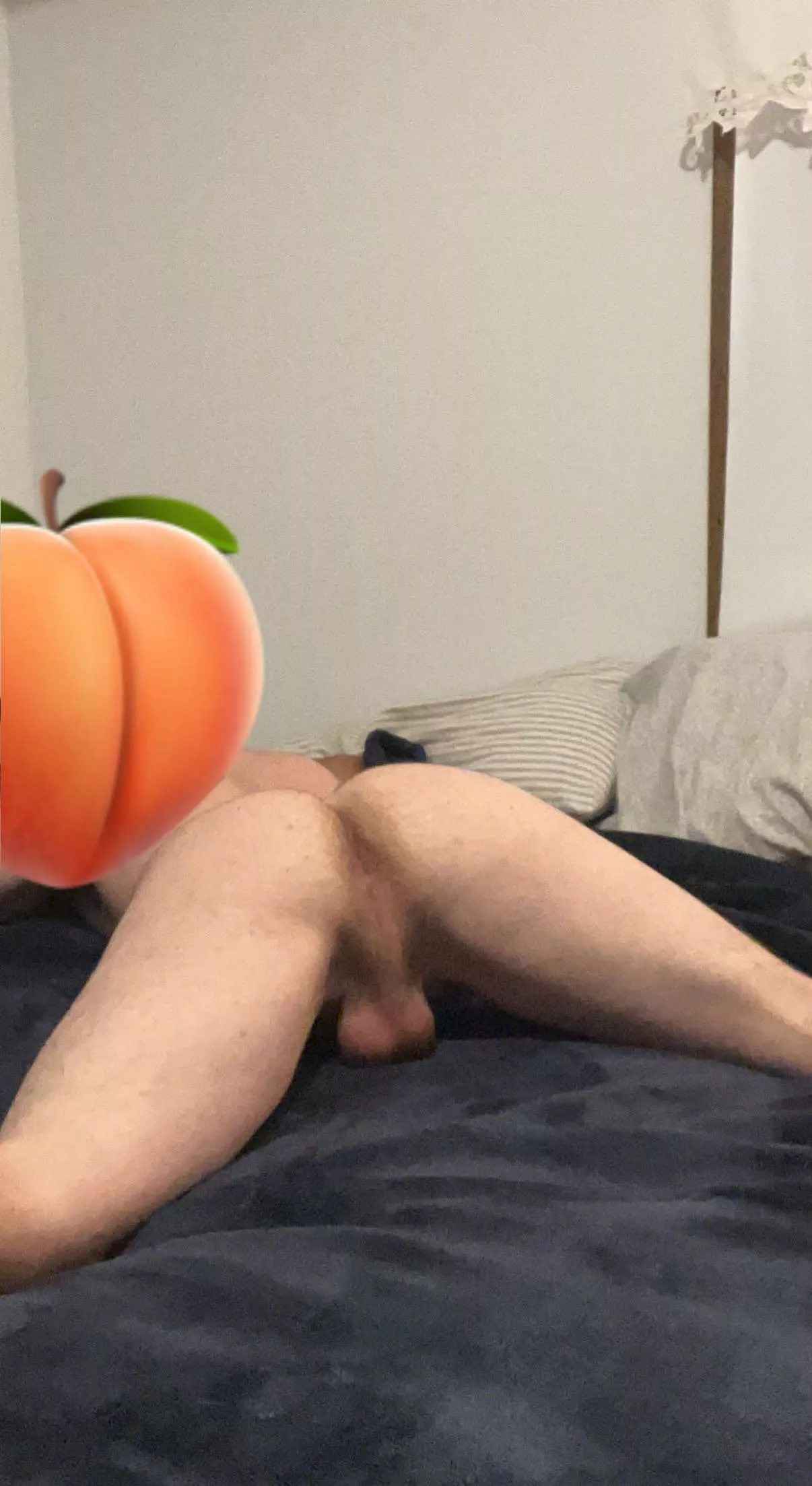 Who wants to come take smell and push my face further in this bed