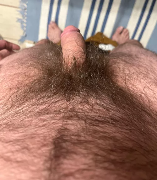 (33) hairy enough for u