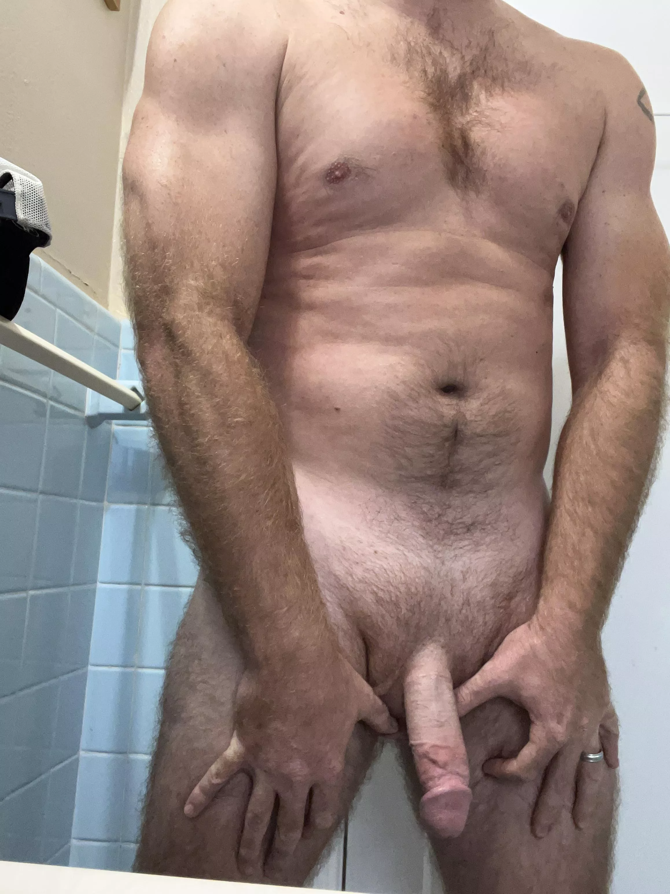 [37] Would you breed with this dad of 3?