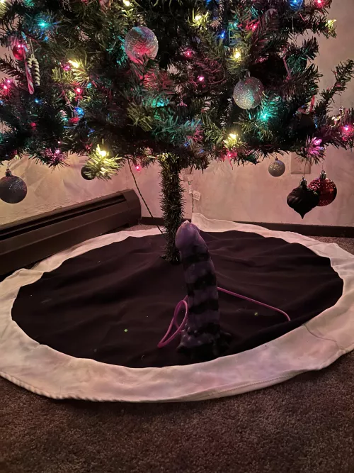 A very merry Christmas to me