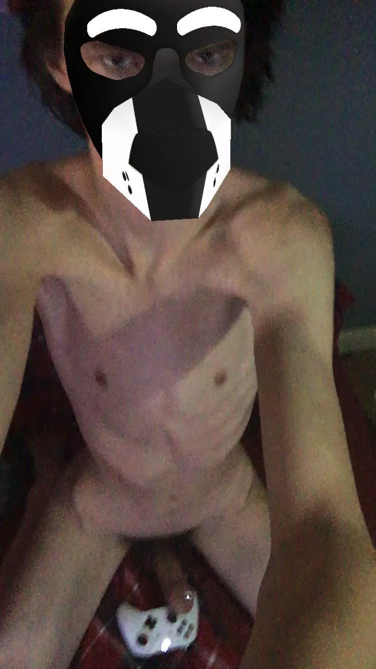 Anyone fancy joining this puppy on Minecraft? (Void2860)