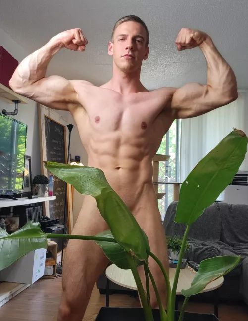 Anyone love plant over here 🪴😏..?