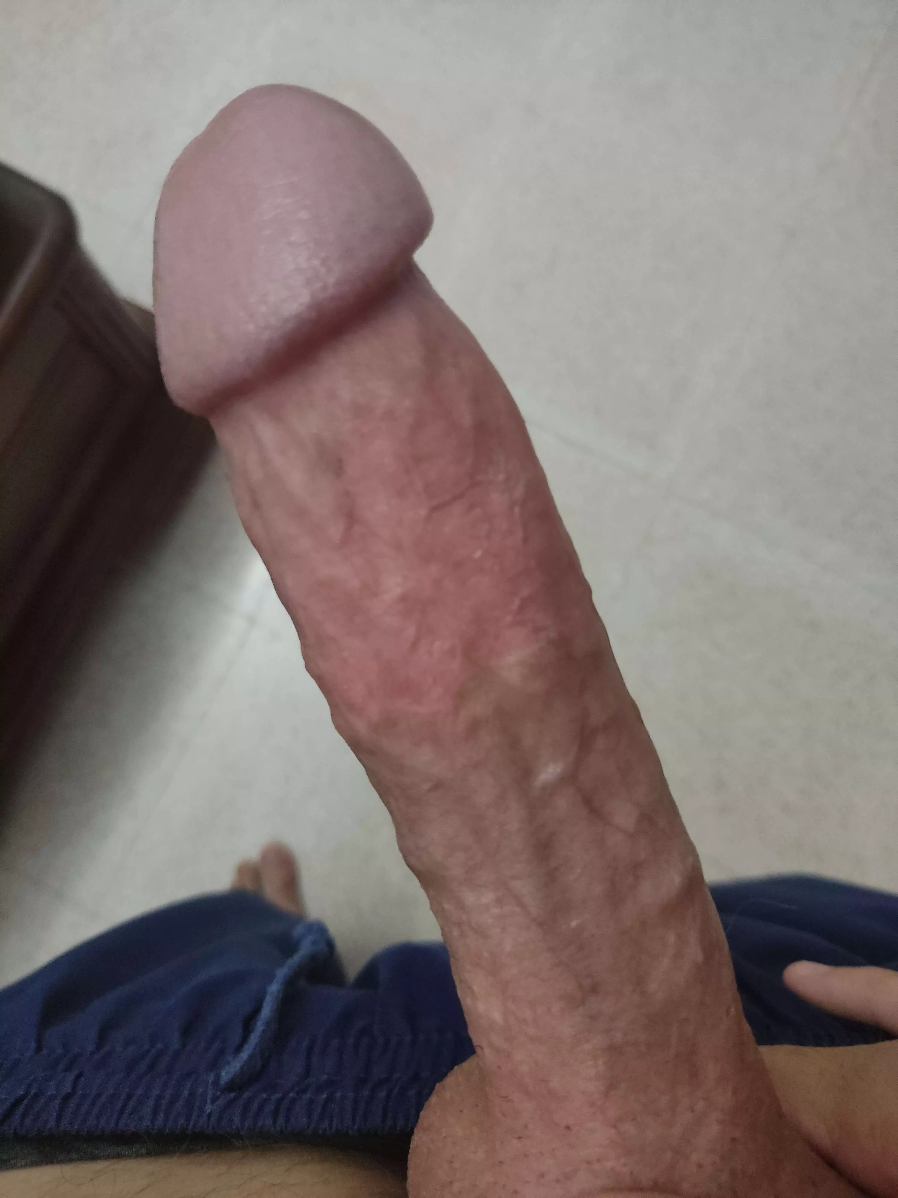 bull cock ready for anyone