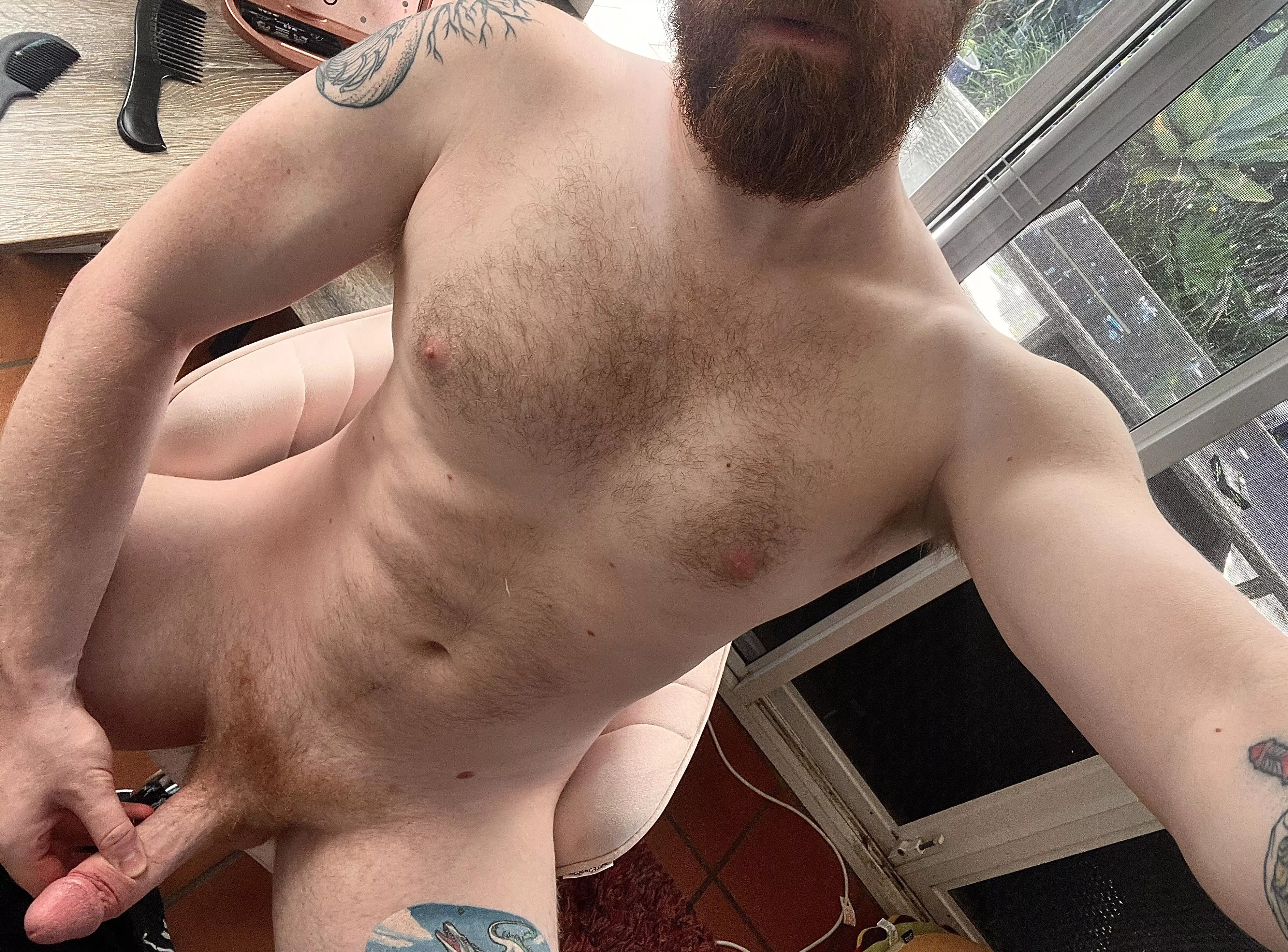 Come in but be warned, my office is full of distractions