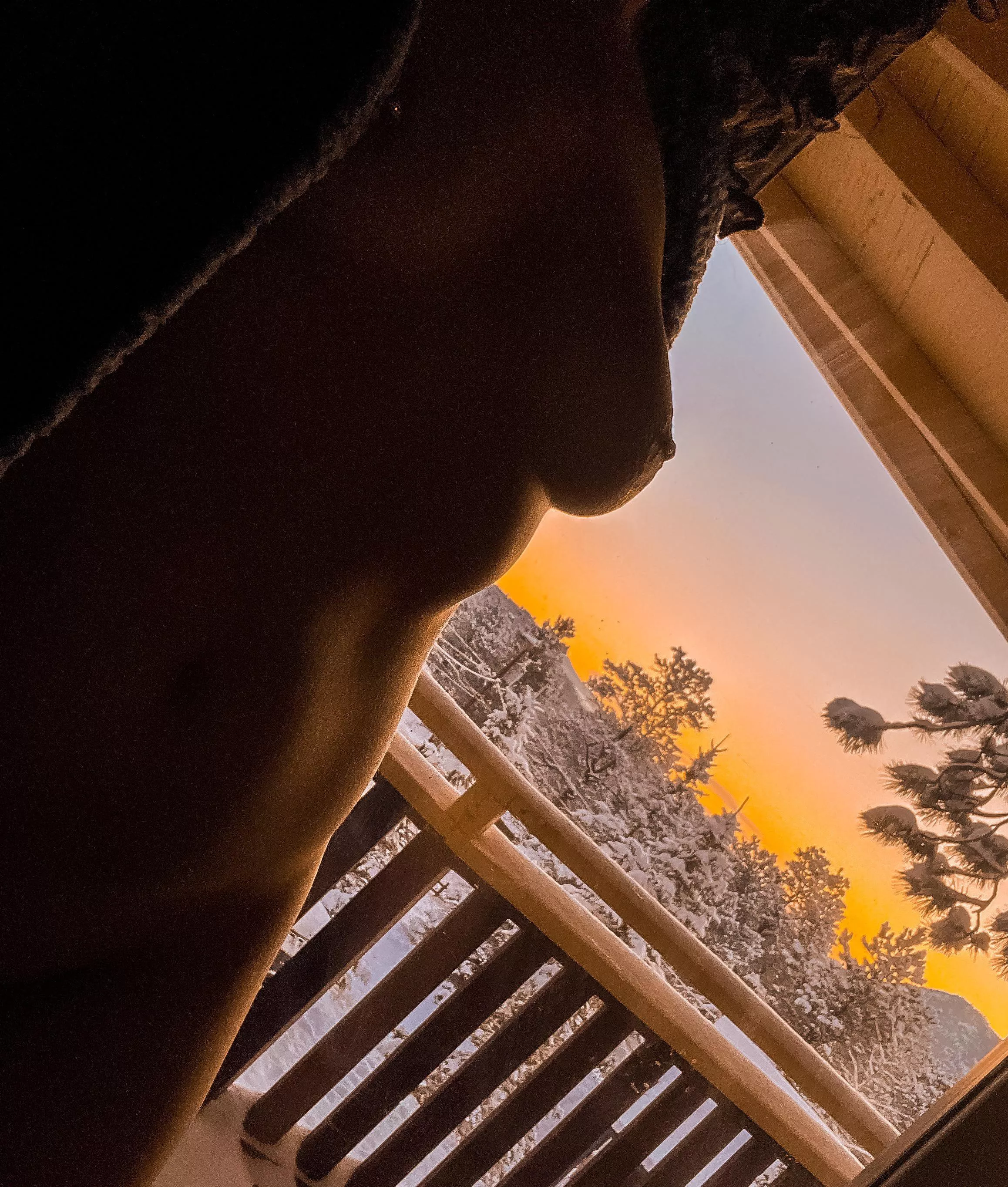 Cotton Candy Sunrise