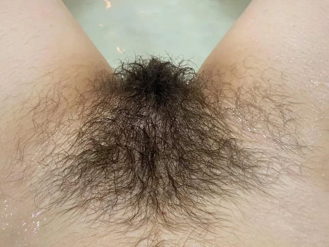Do you like my wet bush?💦
