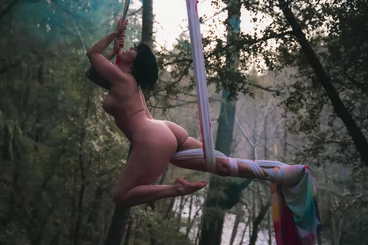 flying in the forest, making shapes