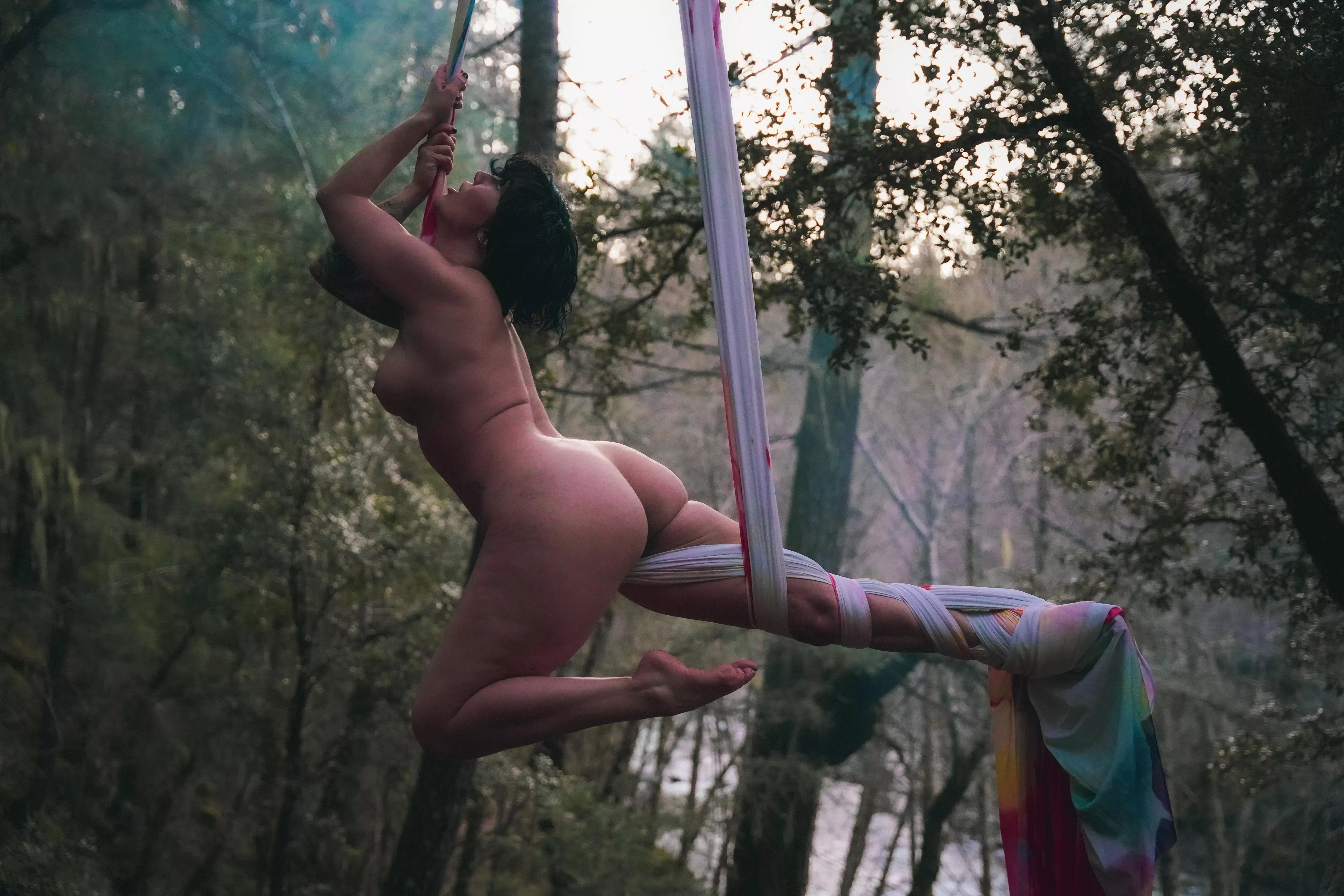 flying in the forest, making shapes