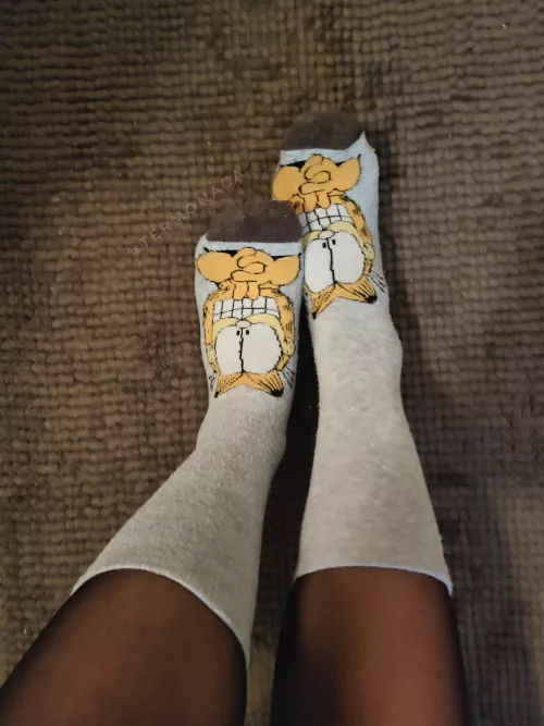 Garfield Socks 🤗