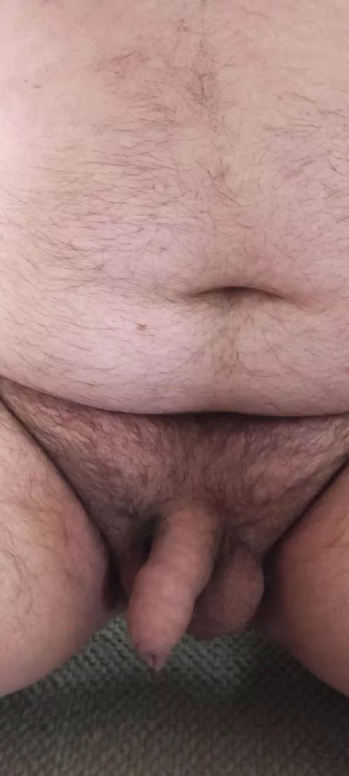 Haven't posted for a while