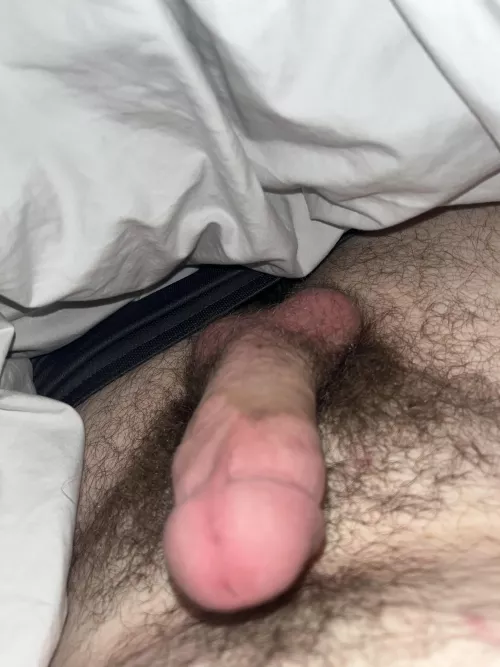 Hiding under the covers