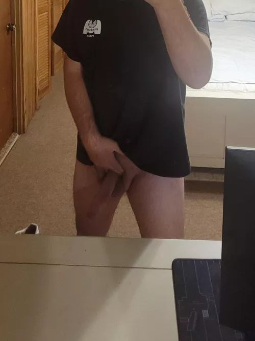 I could use a new slut