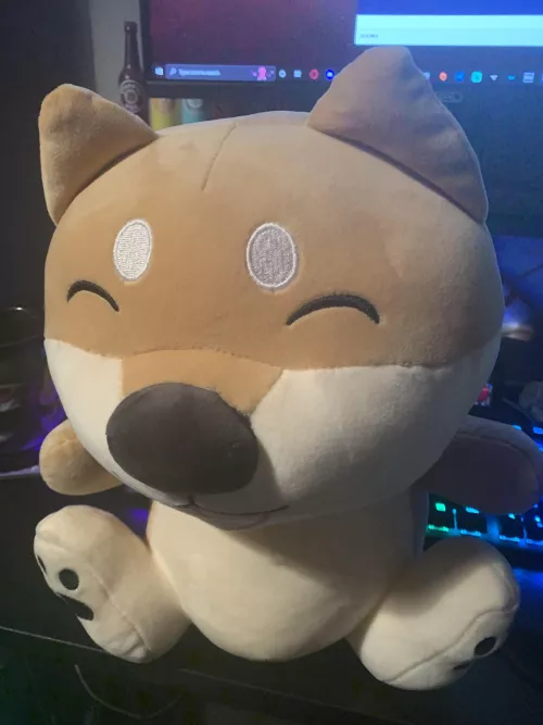 I’m sorry if this doesn’t belong here but here’s mister doggy! I love him very much! He keeps me safe at night from the monsters!