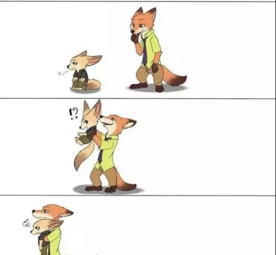 It's important to pick up your fennec from time to time