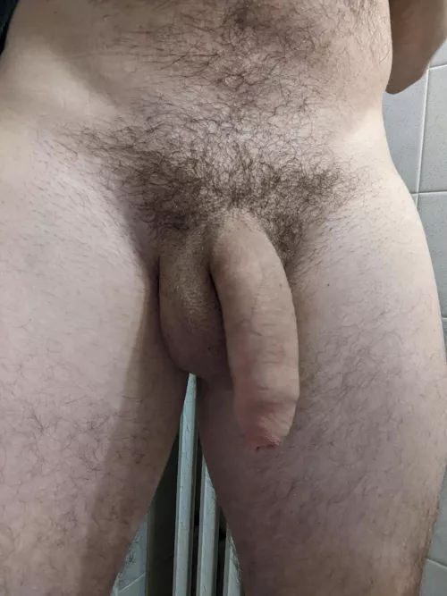 Let me know if you like my penis