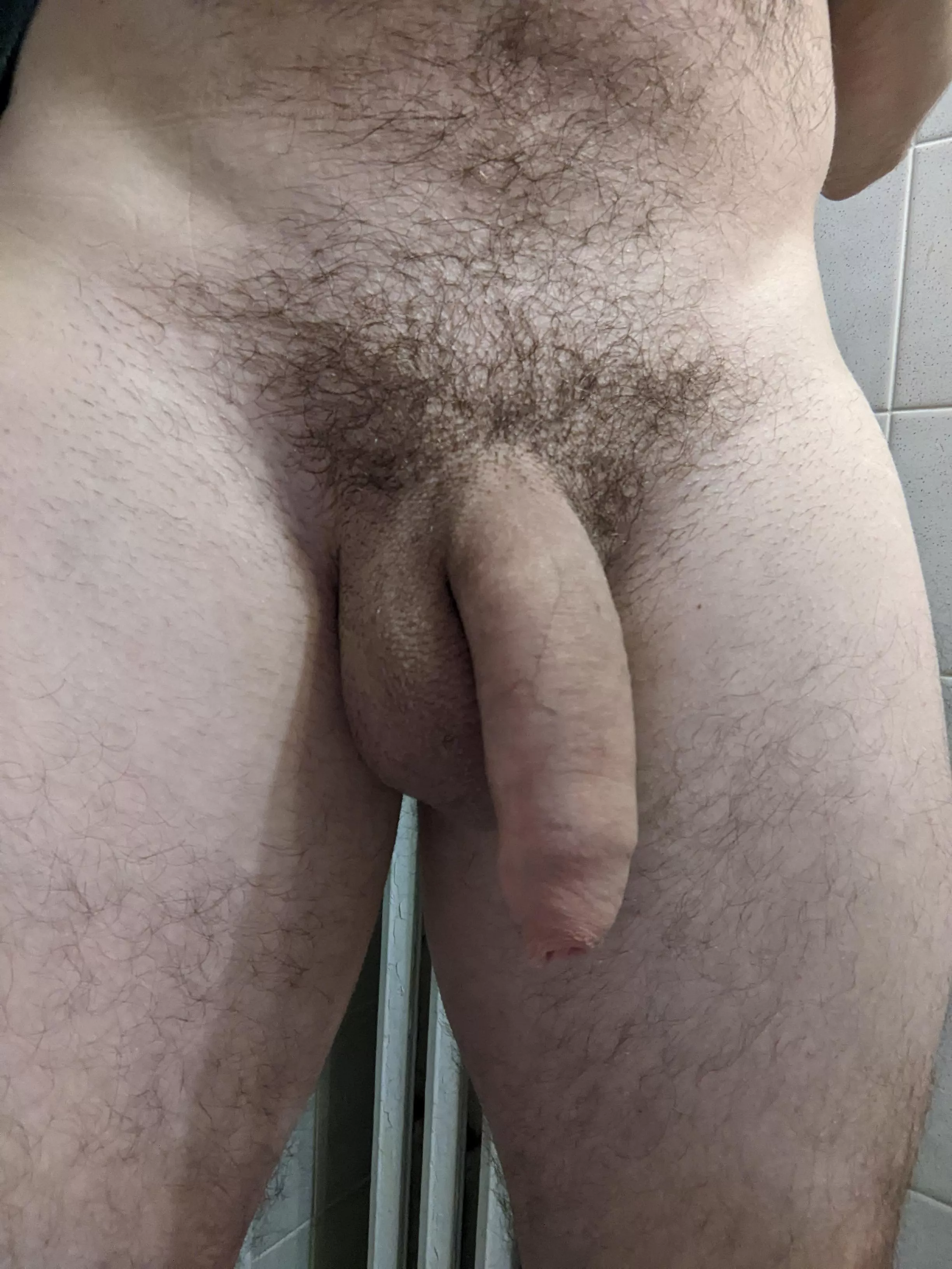 Let me know if you like my penis
