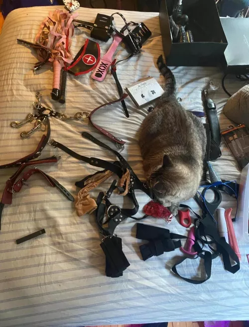 lets start feminizing you, shall we? ;)