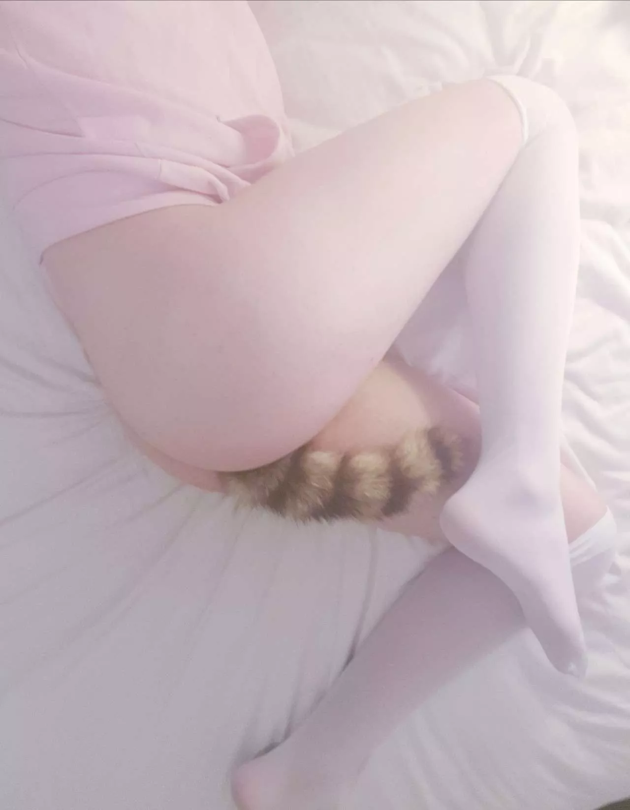 little baby puppy with her little baby tail~♡