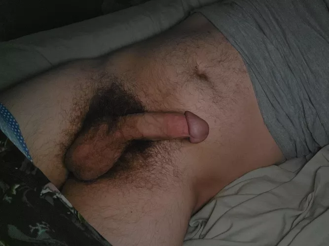 Morning wood [29]