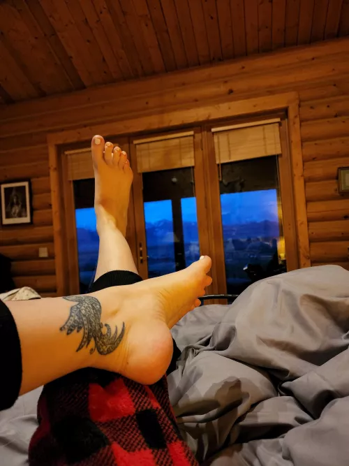 My feet are getting cold, could you please rub them for me???