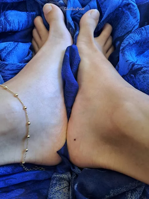 natural nails, gold anklet on blue silk
