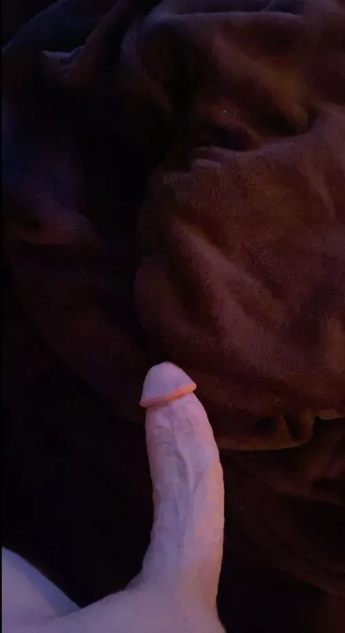 open up for daddy’s cock😈