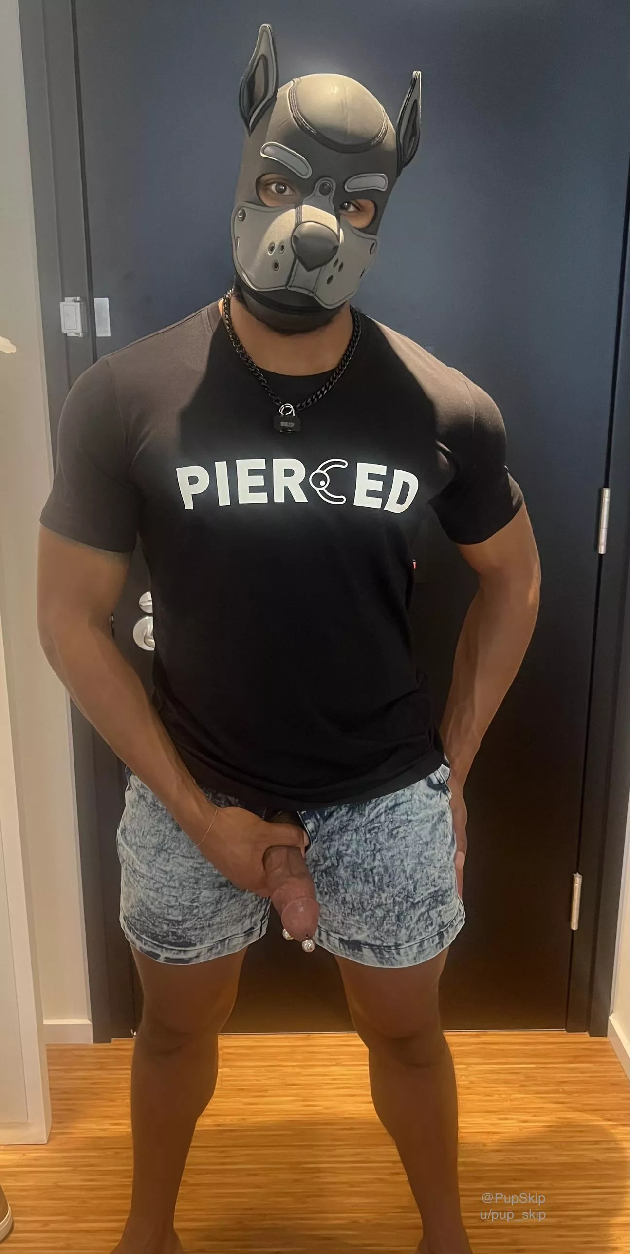 Pup’s favorite shirt