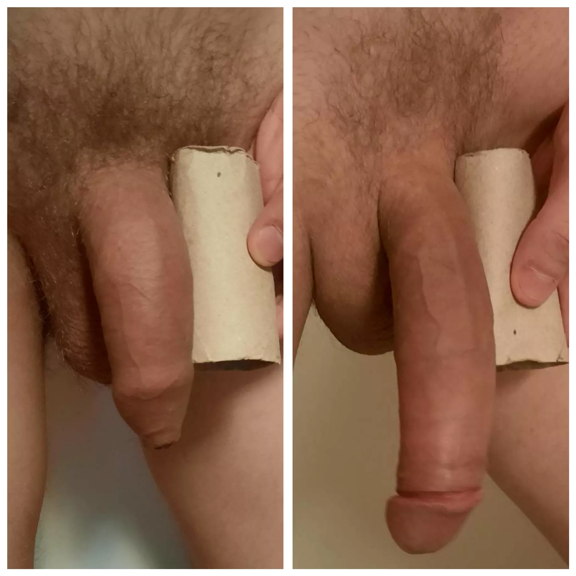 See the growth 😋 My softie & semi vs. TP roll