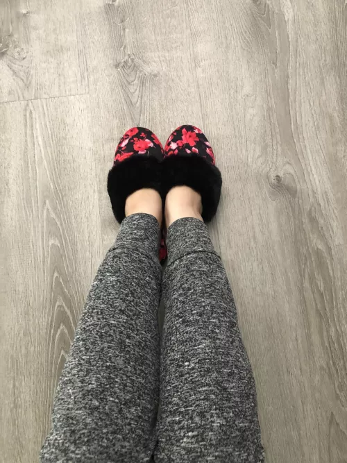 [Selling] Sniff my sexy slippers for just $15 😋❤️ Free shipping and 3 days wear! Message me here or on Kik : cordiluv