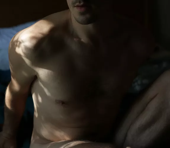 the sun dappled through the window that windy afternoon. The leaves, that autumn day took shape upon his skin.