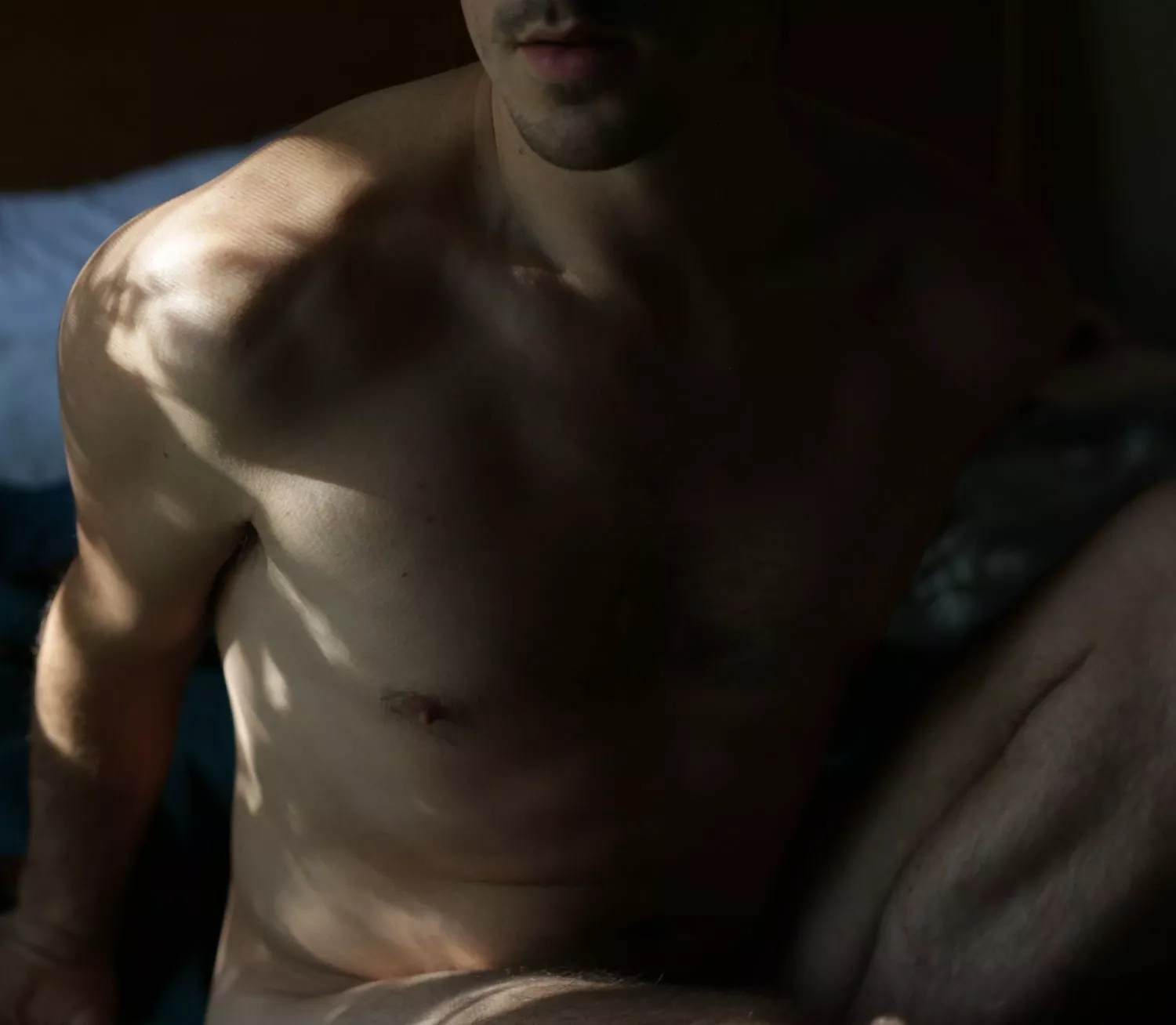 the sun dappled through the window that windy afternoon. The leaves, that autumn day took shape upon his skin.