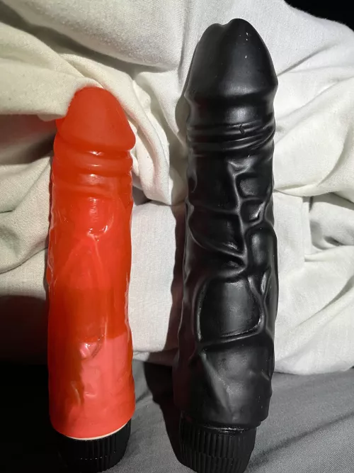 Tonight’s entertainment. First I’m going to fuck the one on the left. Then when I’m loosened up, the one on the right.