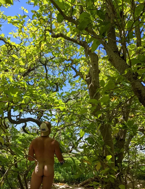 Waiting for someone behind the dunes 😜