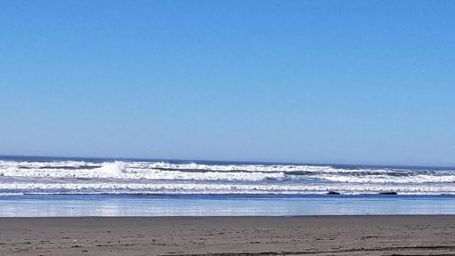 who docnt loev the beach