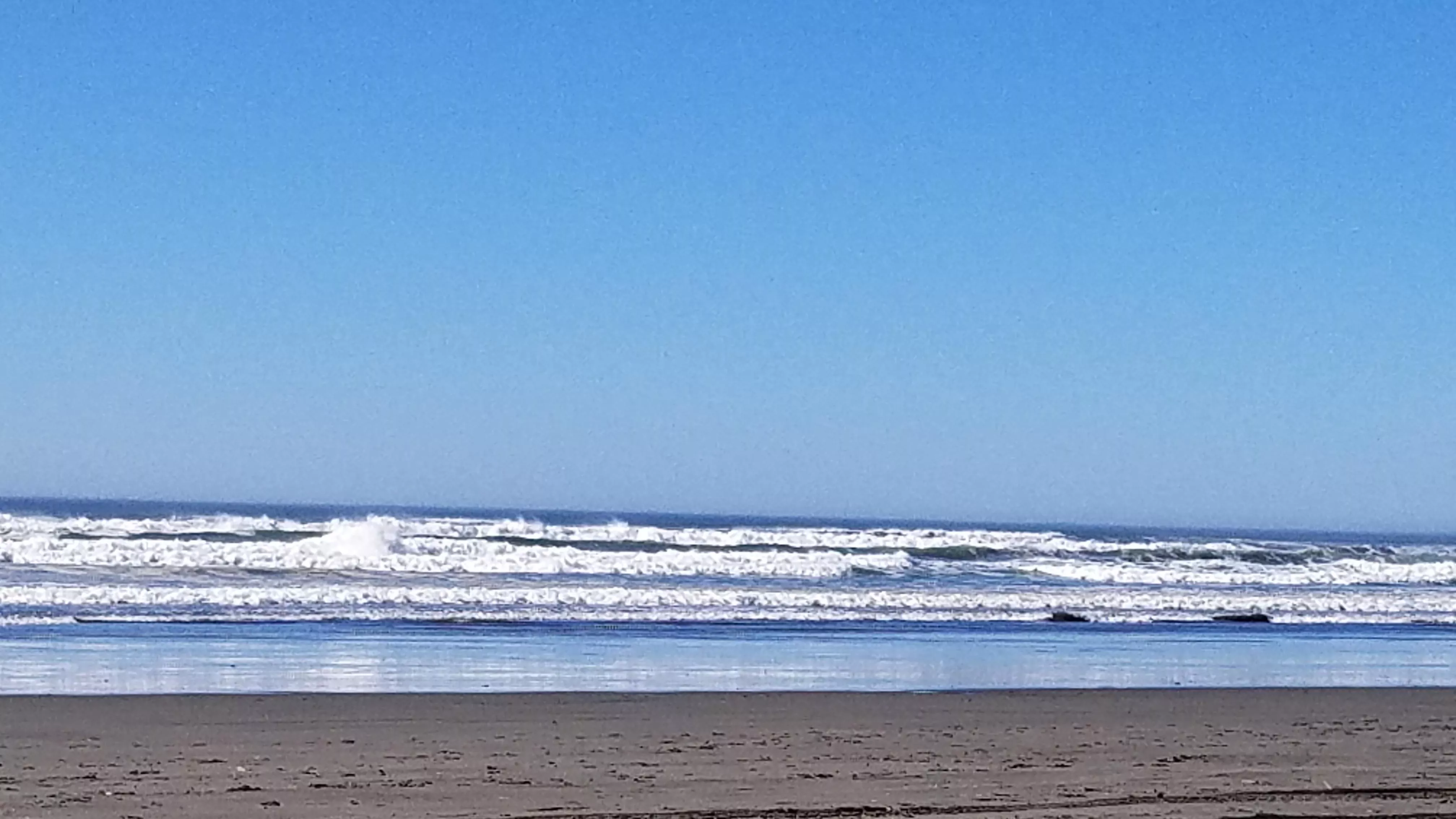 who docnt loev the beach